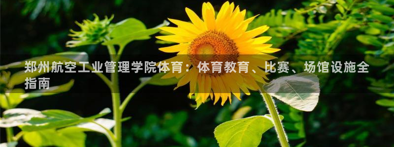必一体育怎么下载：郑