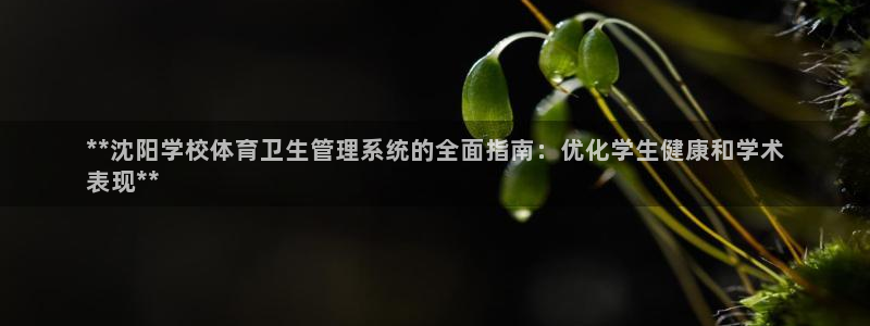 必一体育黑钱：**沈