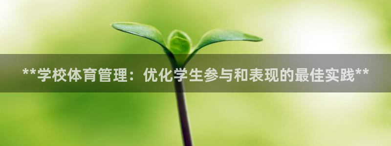 必一运动验证码：**