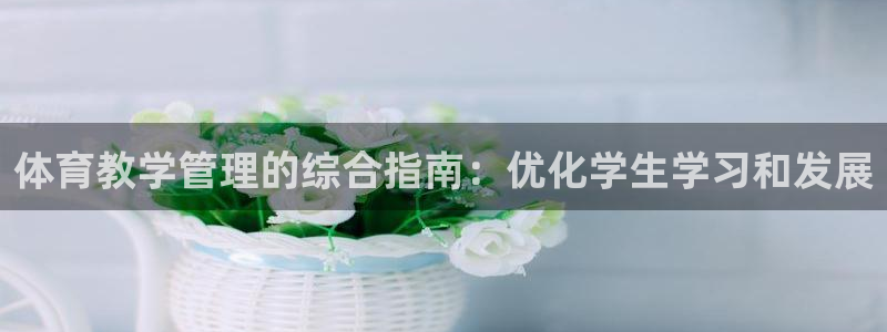 必一体育官方网站入口