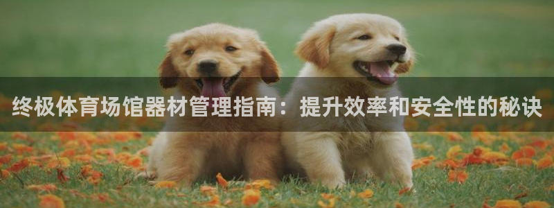 必一体育平台：终极体