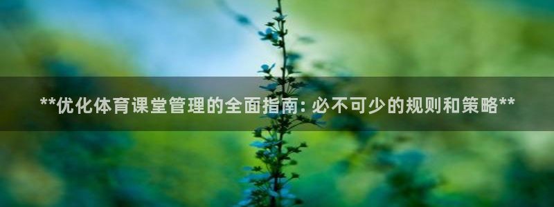 必一运动 b 体育素