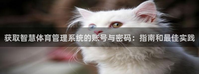 必一体育登录入口：获
