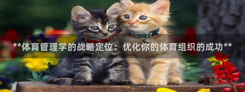 必一体育app下载最