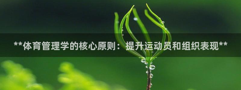必一体育sport官