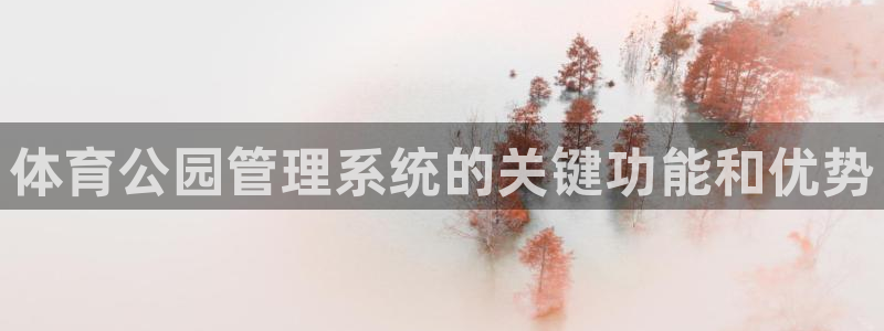 必一体育app官方网