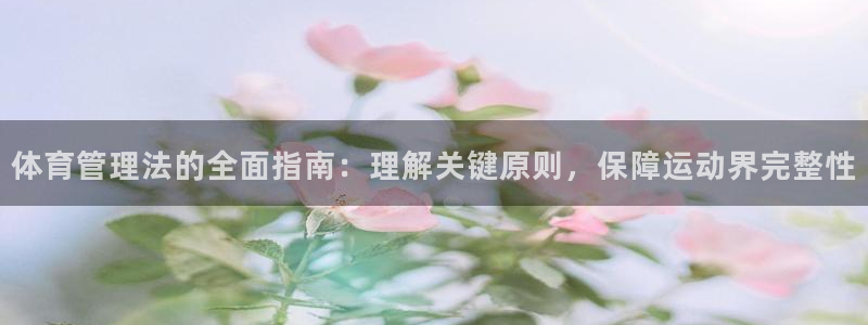必一体育sportB