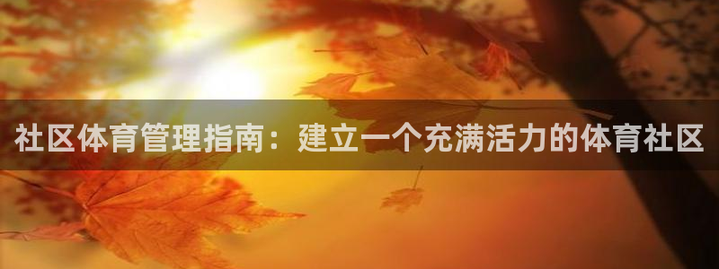必一体育手机下载：社