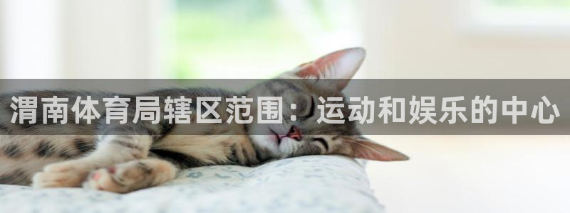 必一体育登录：渭南体