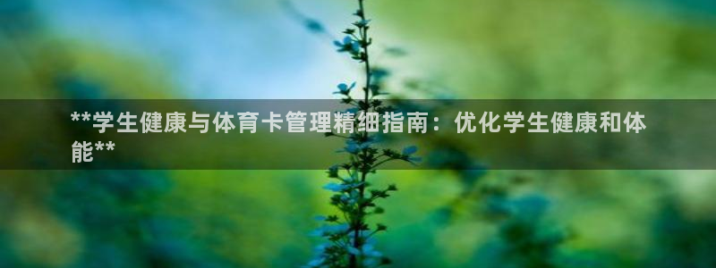 必一体育官方入口：*