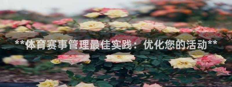 必一运动·(B-Sp