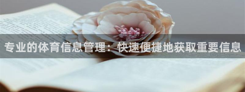 必一体育下载意思：专