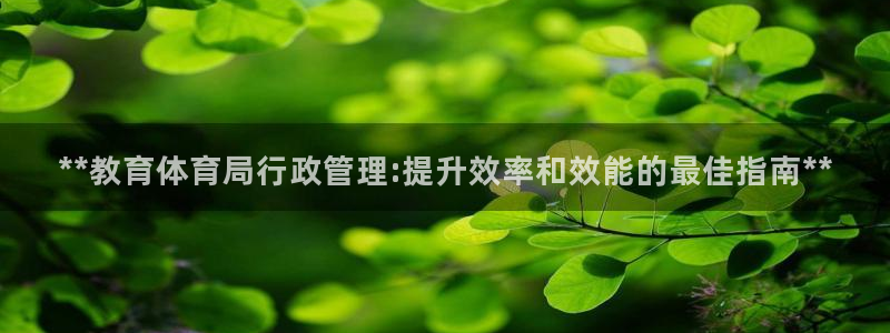 必一体育sport：