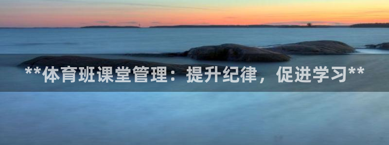 必一体育在线官网：*