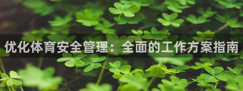 必一体育登录：优化体