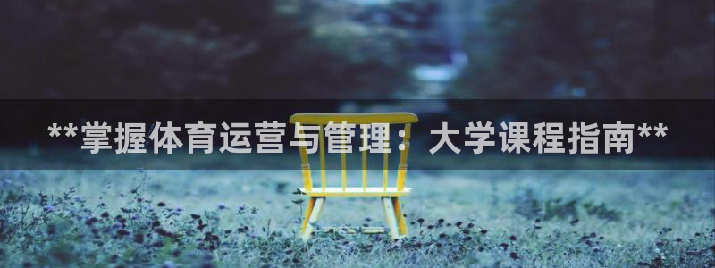 必一体育APP：**