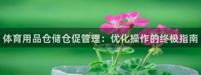 必一体育app下载安