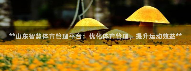 必一体育运动官网：*
