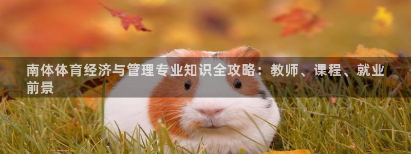 必一体育平台：南体体