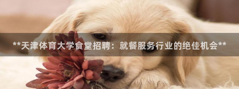 必一体育官网ios下