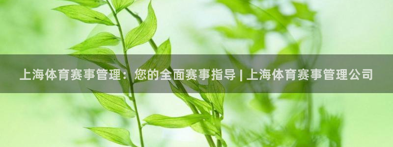 必一体育官方网站入口