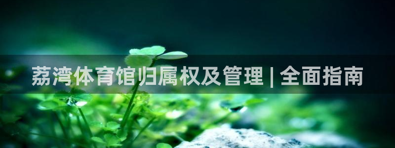 必一体育在线入口：荔