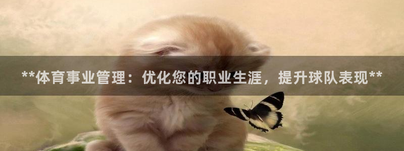必一体育官方app下载：**体育事业管理：优化您的职业生涯，