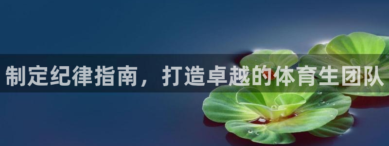 必一体育sport官