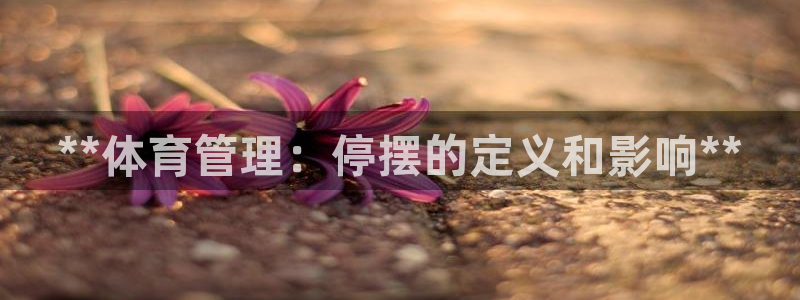 必一体育sport官