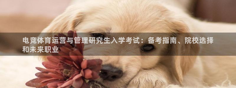 必一体育运动app下