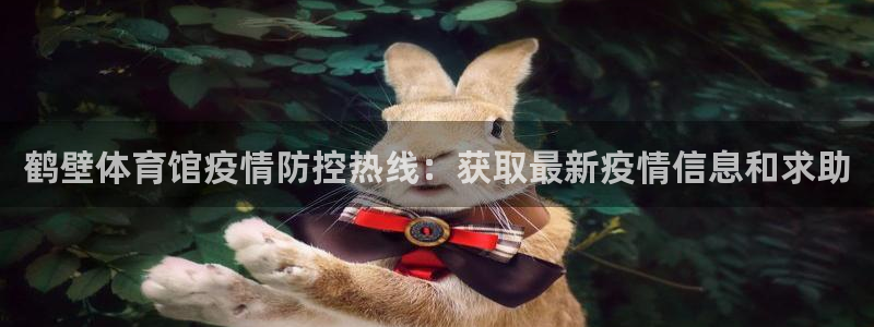 必一体育可靠吗：鹤壁