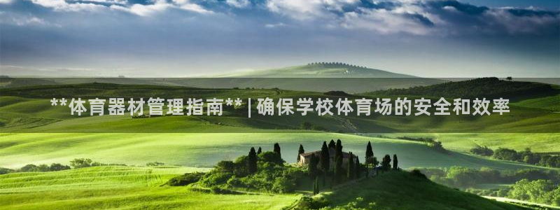 必一体育sport网