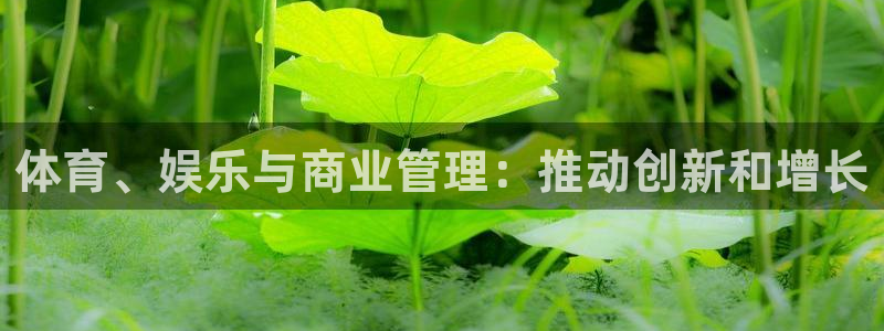 必一体育手机下载：体