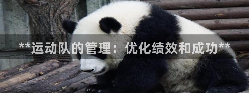必一体育服下载最新版