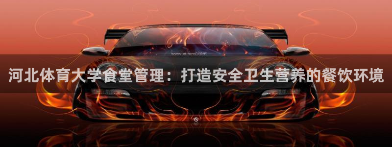 必一体育全站在线登录