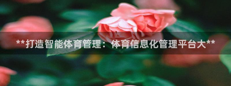 必一体育下载意思：**打造智能体育管理：体育信息化管理平台大