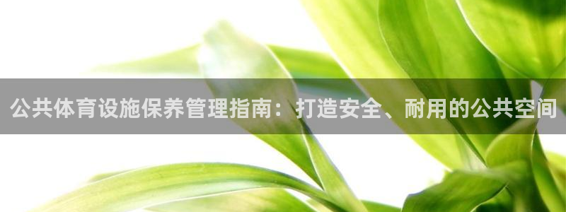 必一体育官方app下载：公共体育设施保养管理指南：打造安全、