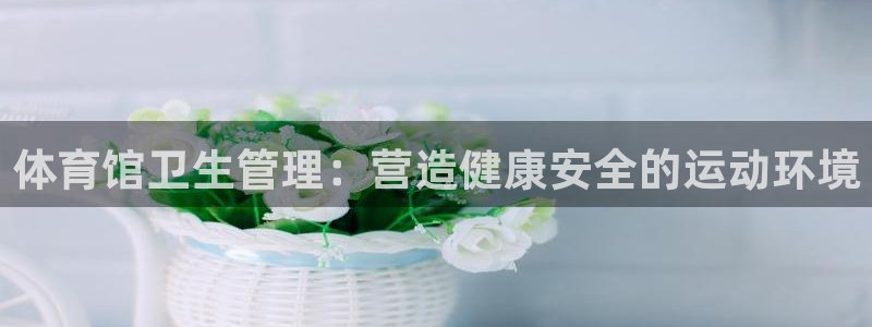 必一体育游戏玩法：体