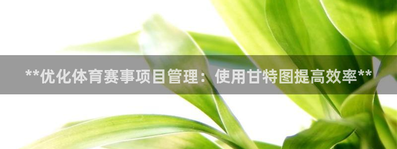 必一体育官网app：