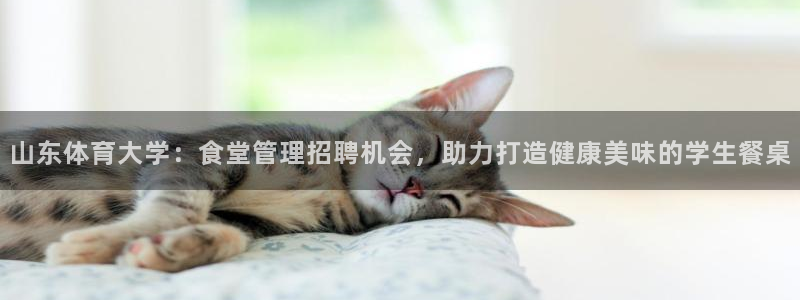 必一体育登陆：山东体