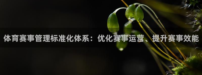 必一体育登录：体育赛