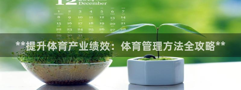 必一体育流水线是什么