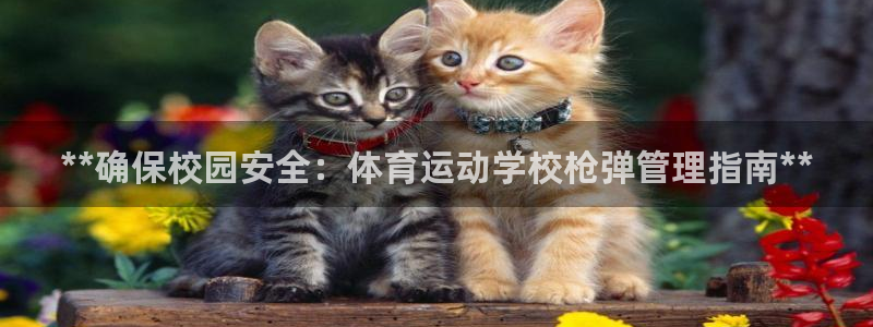 必一体育app平台下
