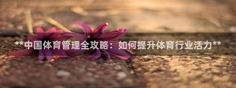 必一体育网页版登录：