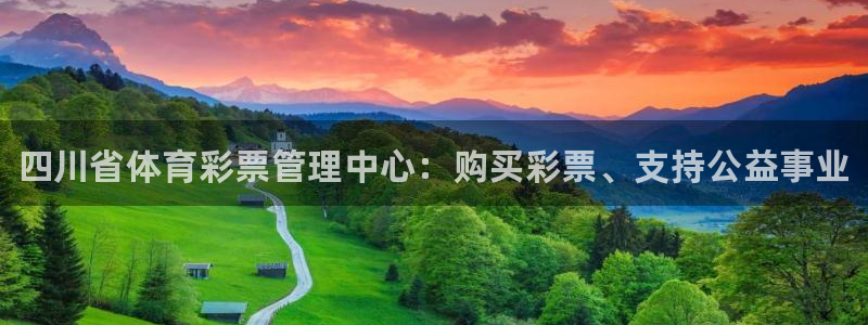 必一体育平台：四川省