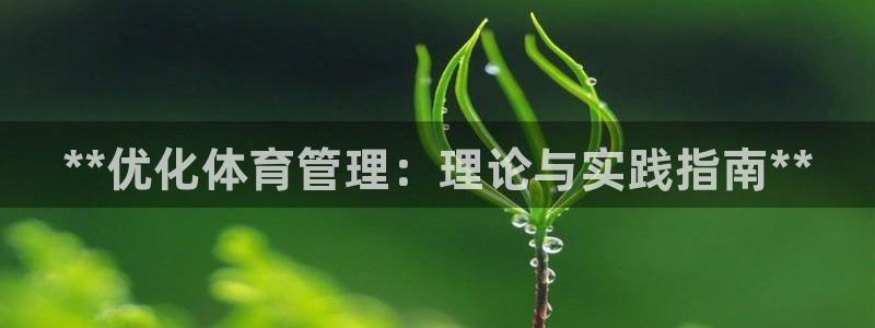 必一体育官网网站：*