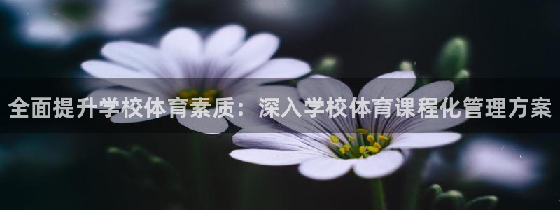 必一体育官方入口：全面提升学校体育素质：深入学校体育课程化管