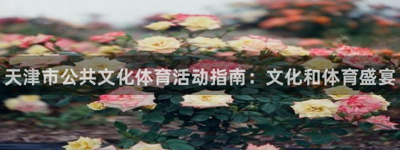 必一体育app官方网