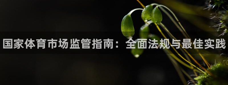 必一体育皮尔斯：国家