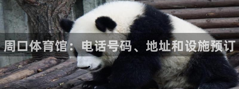 必一体育怎么下载：周